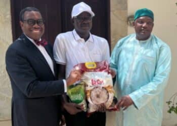 The Gambia, African Development Bank Group To Boost Rice Output, Uplift Youth And Women Entrepreneurs