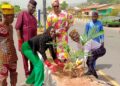 Sayari Dunia Sustainable Tourism Foundation Donates 1000 Trees To Ekiti For Reforestation