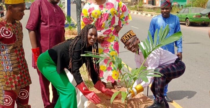 Sayari Dunia Sustainable Tourism Foundation Donates 1000 Trees To Ekiti For Reforestation