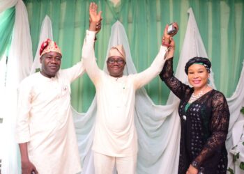 Ademola Akeem Ige on Hon. Emmanuel Oluwole Alawode Re-Election