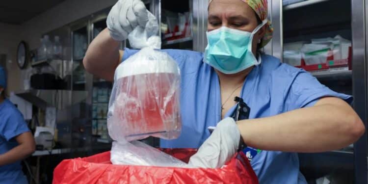 Pig kidney transplanted into living person for first time