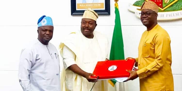 Seyi Makinde charges NASS Joint Committee on Constitution Amendments