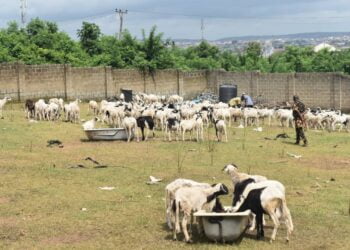 Adedeji Dhikrullahi Olajide Odidiomo gives Sallah gifts to constituents