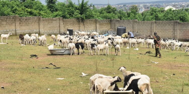 Adedeji Dhikrullahi Olajide Odidiomo gives Sallah gifts to constituents