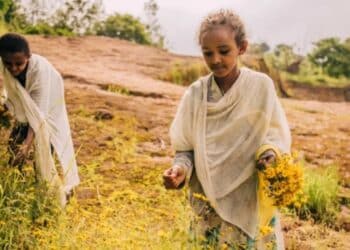 Ethiopia The Country Where Its Still 2016