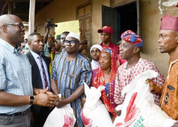 Oyo APC tackling Seyi Makinde on Food Security programme SAfER