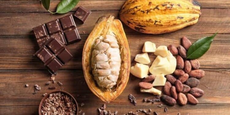 Health Benefits of Cocoa Lowering Blood Pressure and Cholesterol Risk