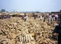 Taxes On Yam Rice Food Products Importation