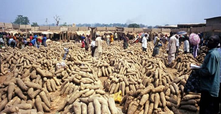 Taxes On Yam Rice Food Products Importation