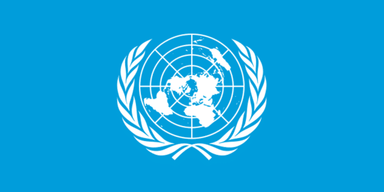 United Nations UN Flag