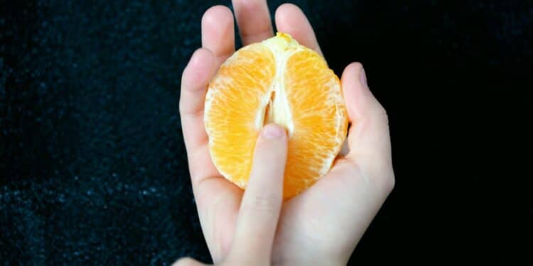 Basics of Oral Sex - Man Licking Womans private part