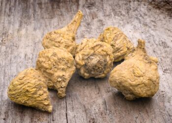 Health benefits of maca root