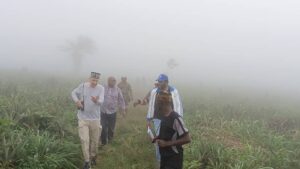 UN Tourism Delegation Walks In The Clouds In Ekiti State