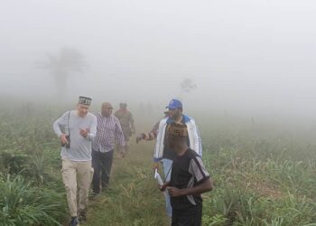UN Tourism Delegation Walks In The Clouds In Ekiti State