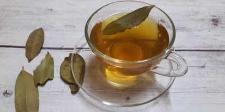 Bay leaf - Bay Leaves Water