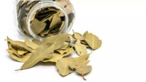 Bay leaf - Bay Leaves Water