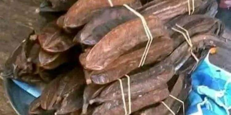 Tetrapleura tetraptera - Aidan Fruits