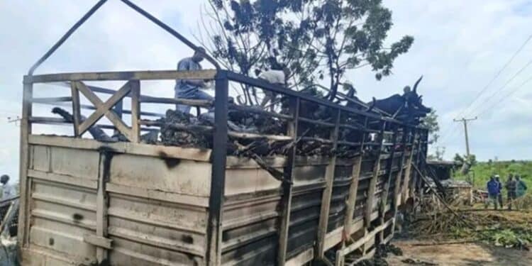 Tragic Tanker Explosion Claims Over 48 Lives In Niger State