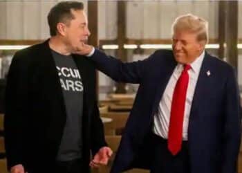 Elon Musk with Donald Trump