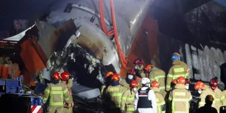 167 Killed As Plane Bursts Into Flames In South Korea