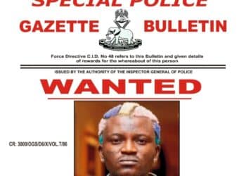 Ogun Police Declare Portable Wanted