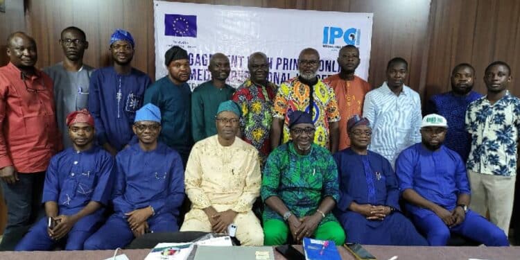 Online Media executives on EU-SDGN training