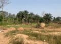 Land grabbing in Oyo State