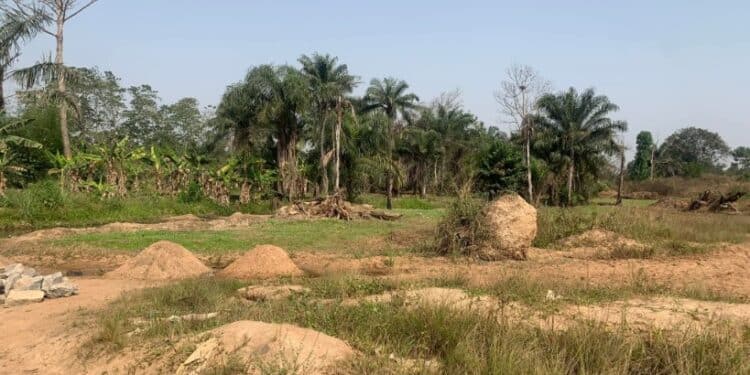 Land grabbing in Oyo State