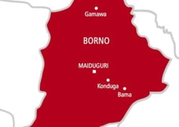 Maiduguri Borno State Map