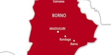Maiduguri Borno State Map