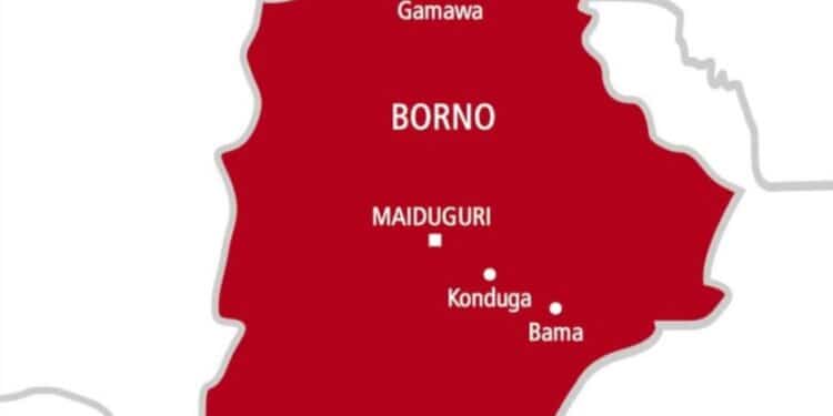 Maiduguri Borno State Map