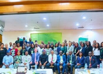 Paradigm Initiative To Train Prosecutors On AI