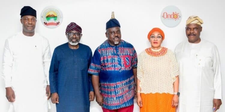 DAWN Commission SWDC Partner