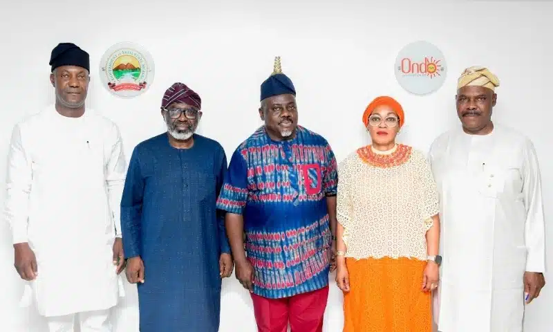 DAWN Commission SWDC Partner