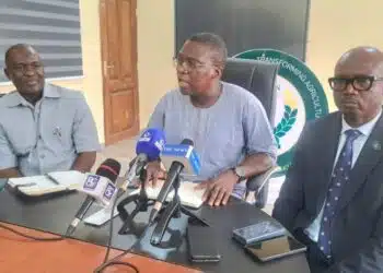 Dr Debo Akande OYSADA Director-General speaking at Ibadan agribusiness press briefing