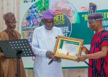Barrister Wale Ojo-Lanre receiving the Tourism Trailblazer Award