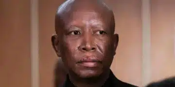 South African opposition figure Malema sentenced