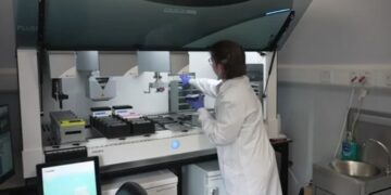 Scientist in Edinburgh laboratory using AI in neurological research to analyze stem-cell-derived brain neurones for motor neurone disease treatment.