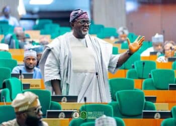 Hon. Adedeji Dhikrullahi Stanley Olajide addressing the House of Representatives constitution review panel during the debate on the Nigeria state police bill.
