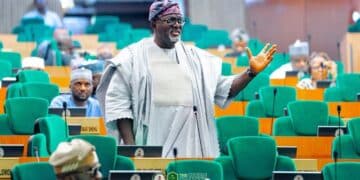 Hon. Adedeji Dhikrullahi Stanley Olajide addressing the House of Representatives constitution review panel during the debate on the Nigeria state police bill.