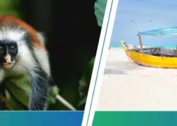 Zanzibar ATPSA Roadshow