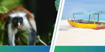 Zanzibar ATPSA Roadshow