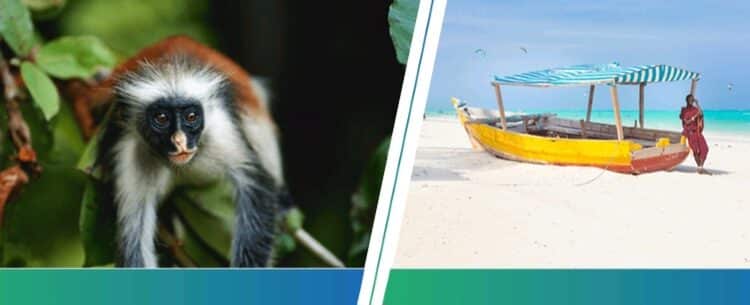 Zanzibar ATPSA Roadshow