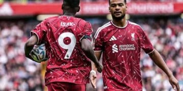 Liverpool Back